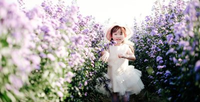 Flower Farm Photo