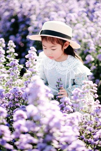 gallery-flower-9